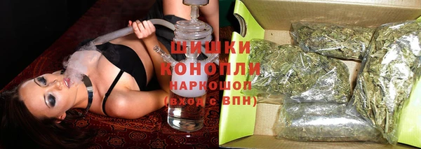 винт Губаха