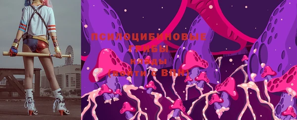 apvp Горно-Алтайск