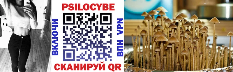 Псилоцибиновые грибы GOLDEN TEACHER  Богородицк 